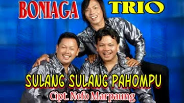 Boniaga Trio - Sulang Sulang Pahompu - (Official Musik Video)