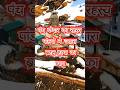 पंच केदार का रहस्य | क्यों शिव जी बने बैल? |#mystery #mythology #viral #short #tranding #bhakti