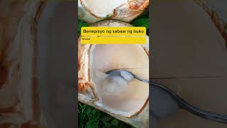 Benefits Of Buko Juice