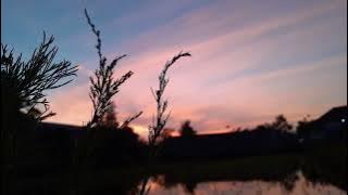Sunrise dengan suara burung berkicau