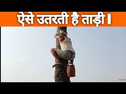 वीडियो: बिस्मथ: धातु के जादुई और उपचार गुण, रोचक तथ्य