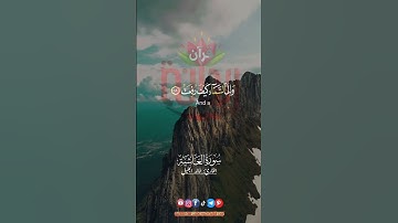 أفلا ينظرون إلى الإبل كيف خلقت.. #خالد_الجليل #سورة_الغاشية #ريحانة_قرآن #قرآن #quran #تلاوات