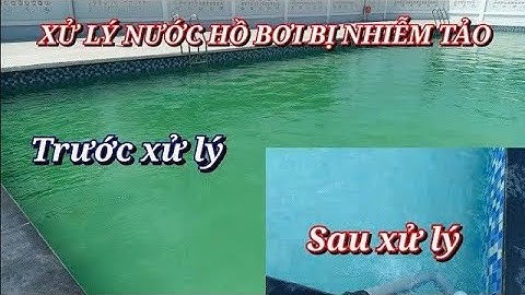 Cách Xử Lý Hồ Bơi Bị Nhiễm Rong Rêu 90% Hiệu Quả – Nhanh Gọn, Tiết Kiệm!