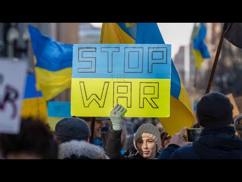 Video: Over oorlog en politiek?