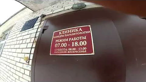 Как, чем и когда гонять глистов у коз