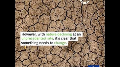 Is regenerative agriculture the solution?