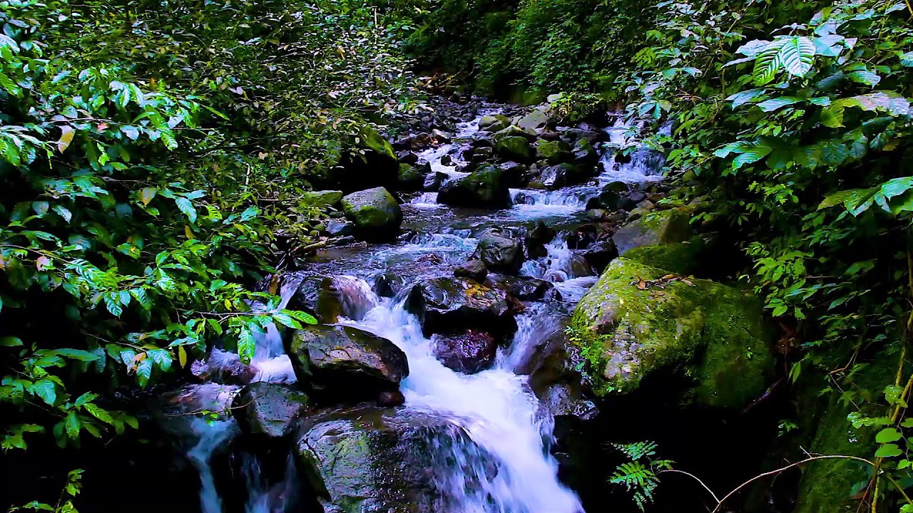 Mountain River Tranquility | Flowing Water Nature Sounds for Deep Sleep Therapy