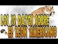 🦁Los 39 Datos Sobre El León Americano (DatoPrehistorico)🦁