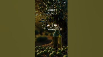 #سورة_المؤمنون #المصحف #اكسبلور #القرآن_الكريم #duet #القارئ_ياسر_الدوسري #لايك