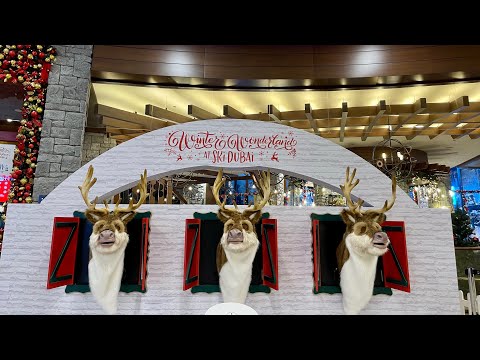 CUTEST DEERS SINGING CHRISTMAS CAROLS in SKI DUBAI MALL OF EMIRATES | MAE LG