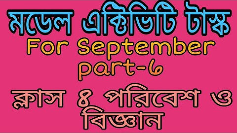 Model Activity Task Class 8 Science (Part-6)