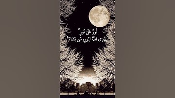 أرح قلبك تلاوة هادئة تريح القلب🤍🎧//#القرآن_الكريم #اكسبلور #لايك