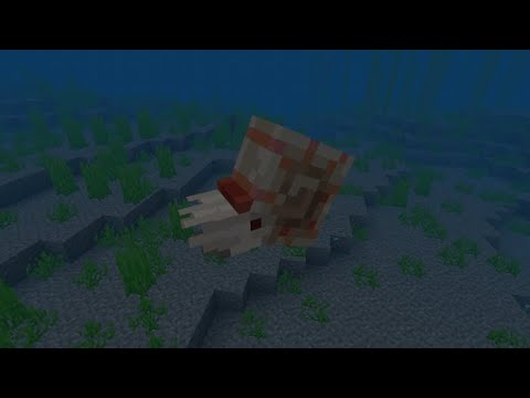 Fish With Shell Minecraft New Shell Fish Added To Minecraft (Nautilus Shell) - YouTube