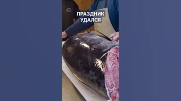 Желтопёрый Тунец. Как разделить тунца. Красное  мясо. Рыбалка