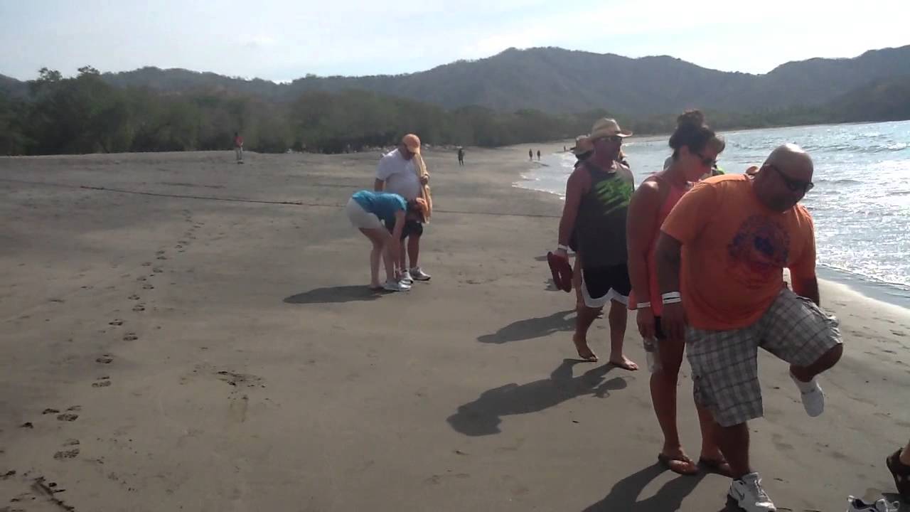 cesar adventure tours costa rica