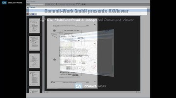 AXViewer : Integrated SAP Document Viewer