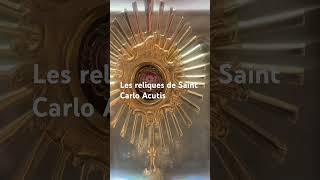 Les reliques de Saint Carlo Acutis 2026