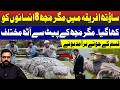 Killer Crocodile Eats 8 People, 8 Different Shoes Found Inside!