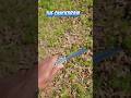 Https Youtu Be R3X7JY1oovE Si CAU EfEM9nF12g0K Knife Martialarts Knifethrowing Trickshot Https Youtu Be R3X7JY1oovE Si CAU EfEM9nF12g0K Knife Martialarts Knifethrowing Trickshot