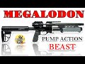 New aea megalodon  pump action max power