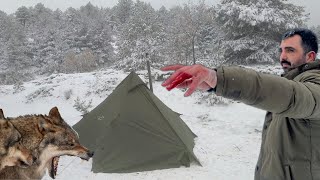 HOT TENT WINTER CAMPING IN A -10° SNOW STORM - BUSHCRAFT CAMPING