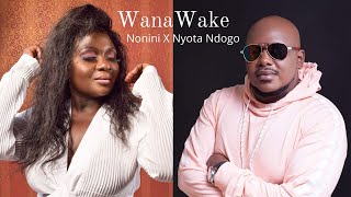 Wanawake - Nonini ft Nyota Ndogo (Audio Video)