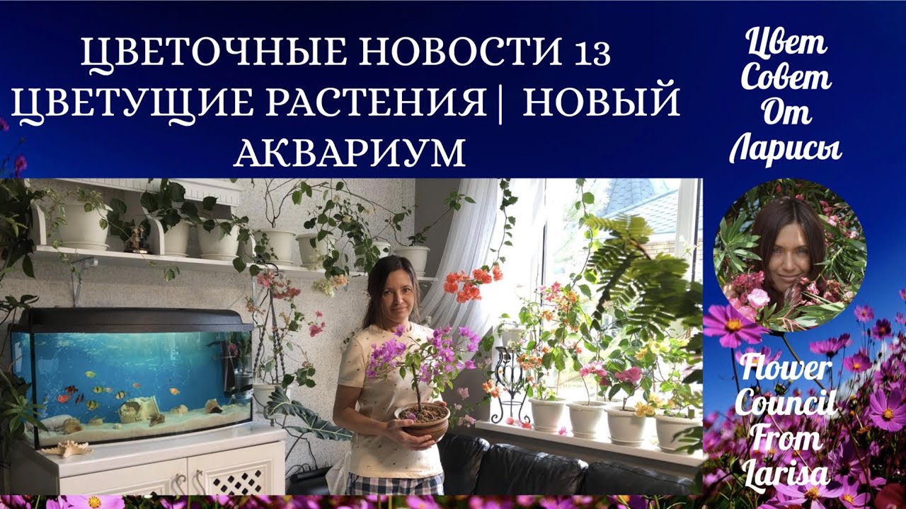 Цветочные советы от елены