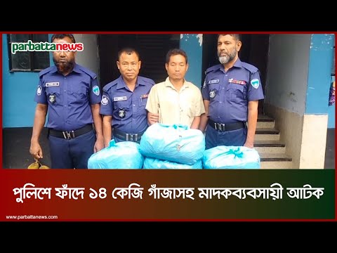 পুলিশের ফাঁদে ১৪ কেজি গাঁ-জাসহ মা-দকব্যবসায়ী আ-টক