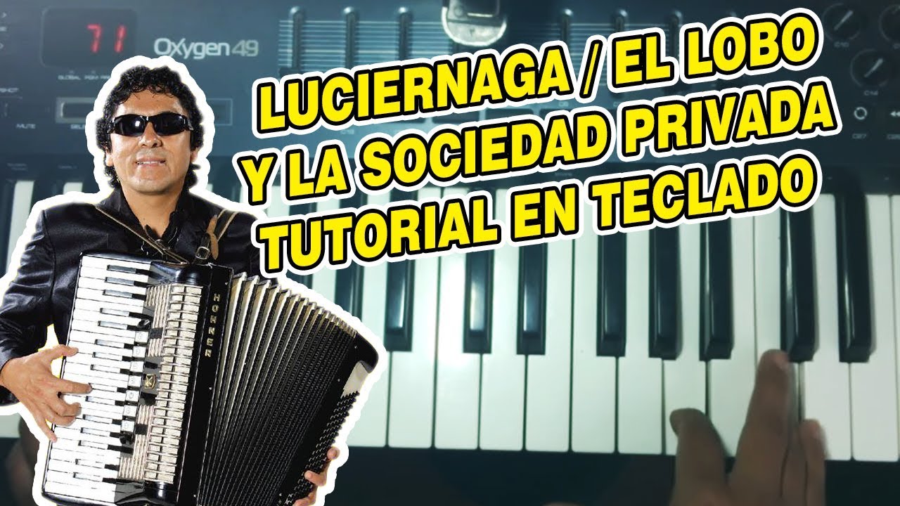 LUCIERNAGA - EL LOBO Y LA SOCIEDAD PRIVADA (TUTORIAL EN TECLADO)