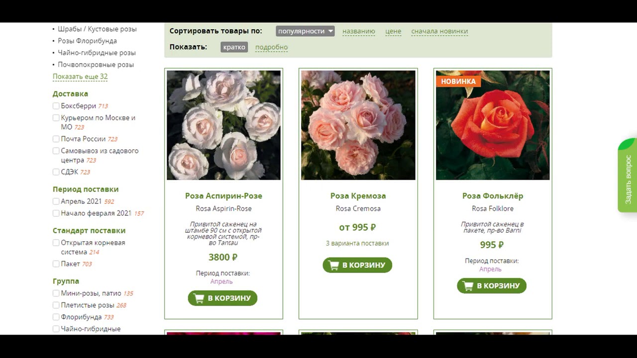 Официальные сайты купить розы. СП дача розы. Розы для сайта. СП-дача пионы. СП дача РФ.