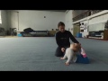Лиза 2,3 года / Акробатика для детей с Котовой Катериной