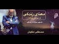 معنای زندگی از دید مولانا مصطفی ملکیان معنای زندگی از دید مولانا مصطفی ملکیان