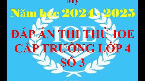 Đáp án thi thử IOE lớp 4 cấp trường - năm học 2024 - 2025 - số 3 (mới nhất)
