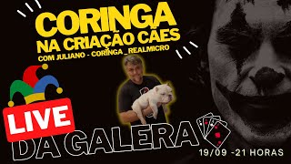 Live da Galera: Verdan Responde com... Juliano - Coringa Real Micro