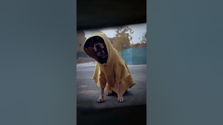 Tengo Un Yate | Tik Tok Video