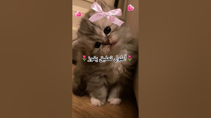 أطول تعليق راح اطلعو في فديو🌷♥️