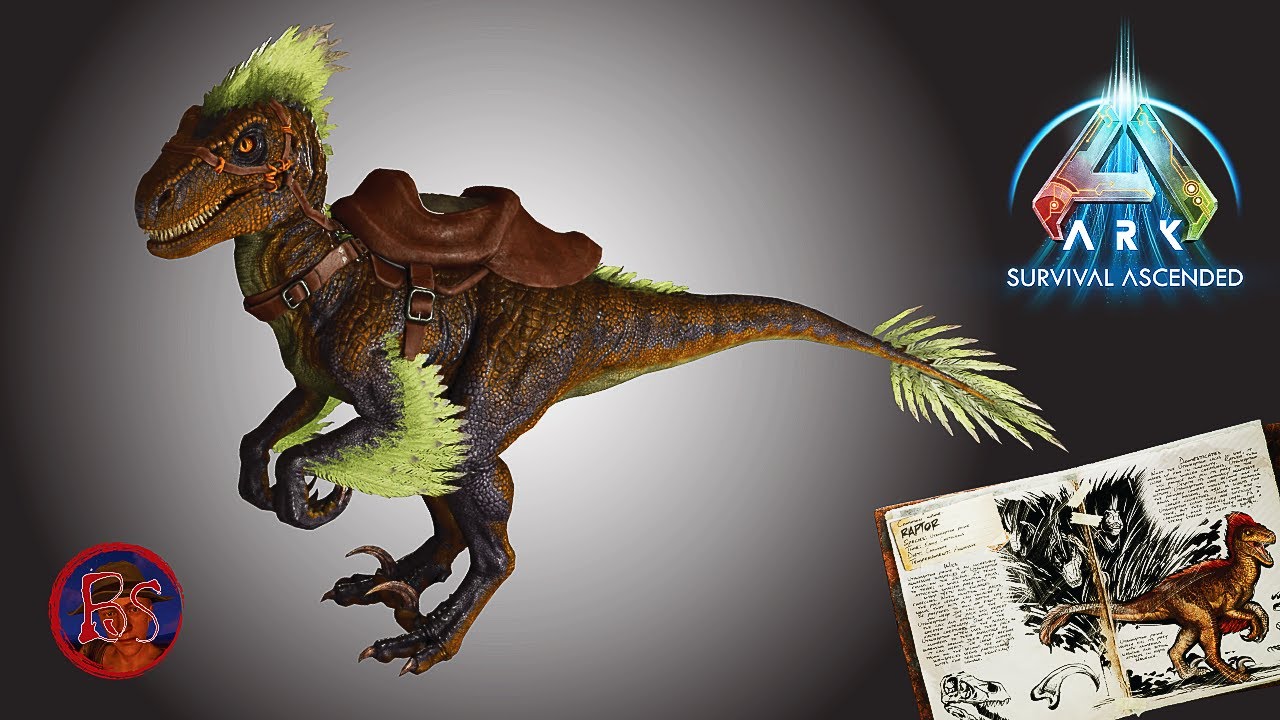 How to Tame a Raptor and Creature Spotlight - YouTube