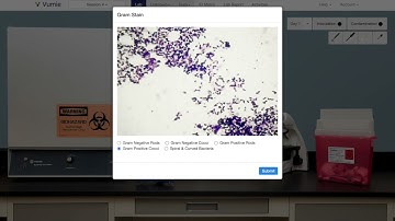 HOW TO — Strategy for Bacterial Identification in Vumie Online