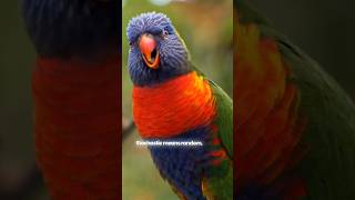 Stochastic Parrot : Is AI Really Smart… or Just a Fancy Parrot? 🦜🤖 #didyouknow #genai #ai #ytshorts