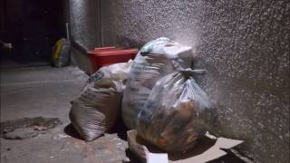The Journey of Garbage and its Effects