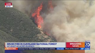 Celebrity Jim Fire burns in Cleveland National Forest Profile