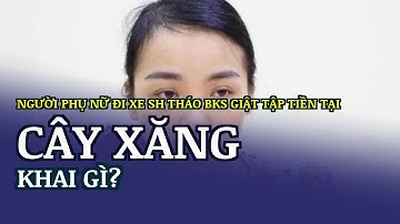 Người phụ nữ đi xe SH tháo BKS giật tập tiền tại cây xăng khai gì?
