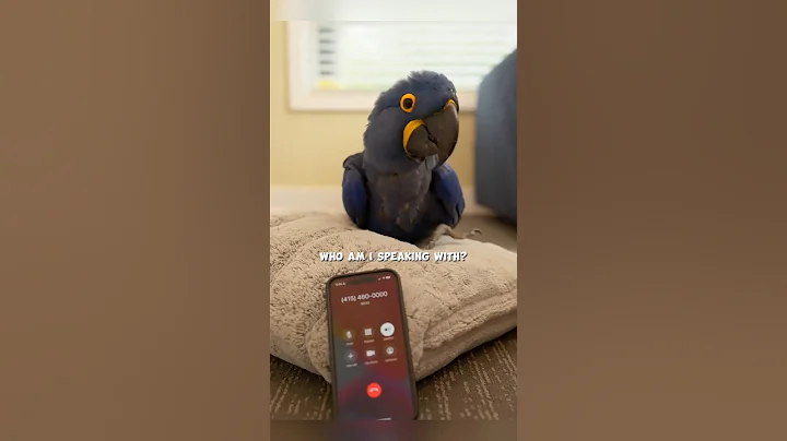 This Parrot Talks with an AI 😳 #shorts