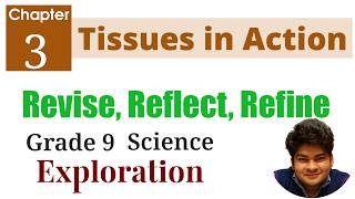 3. Tissues in Action - Revise, Reflect, Refine Question Answer | Class 9 Science