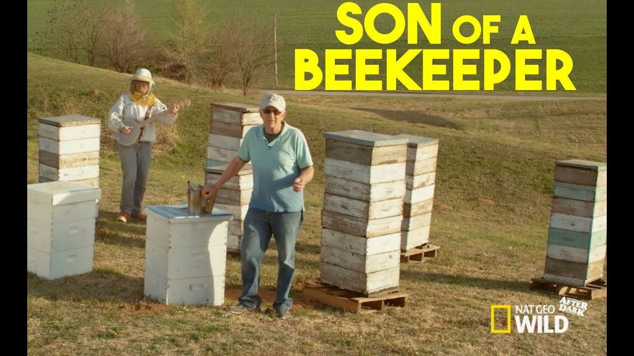 Son Of A Beekeeper