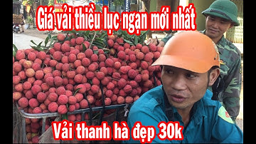 Cập nhật giá vải thiều Lục ngạn mới nhất ngày 1/6/2020,Vải Thanh Hà đẹp 30k || bản sắc miền núi