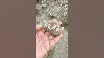 💎Chalcedony Rockhounding In India 🇮🇳🤠#shorts #stone #chalcedony #quartz #crystals #earth #gems