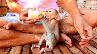 Adorable baby waiting dad fill a drink for him but when ready he just take little drink