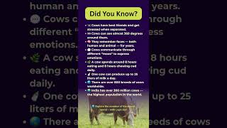🐄 7 Surprising Facts You Never Knew About Cows!😲