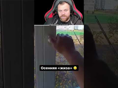 Петренто Осенний воздух #петренто #приколы #прикол